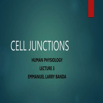 CELL JUNCTIONS lecture .pptx