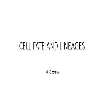 cell lineage and fate