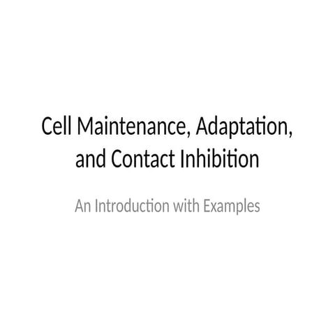 Cell_Maintenance_Adaptation_ContactInhibition.pptx