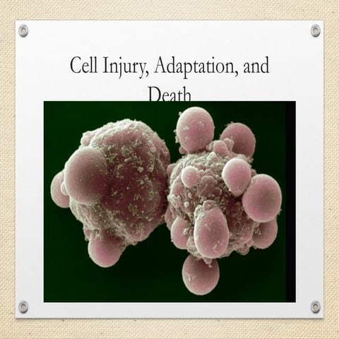 Cell injury, Mechanism of cell injury.pptx