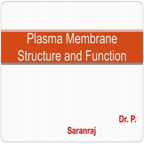 Plasma membrane