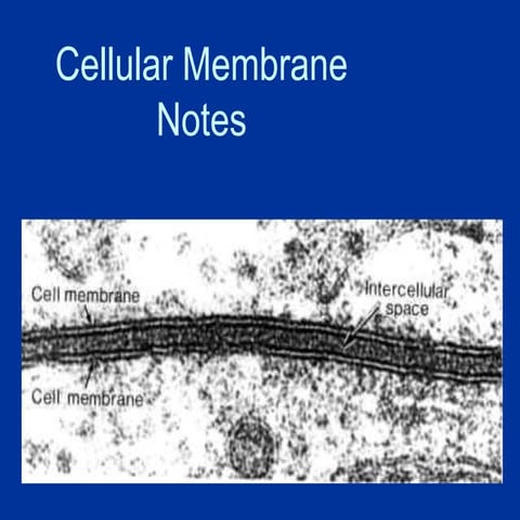 Cell Membrane.ppt