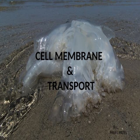 Cell MEMBRANE in cell topic helpfull.pdf.pptx
