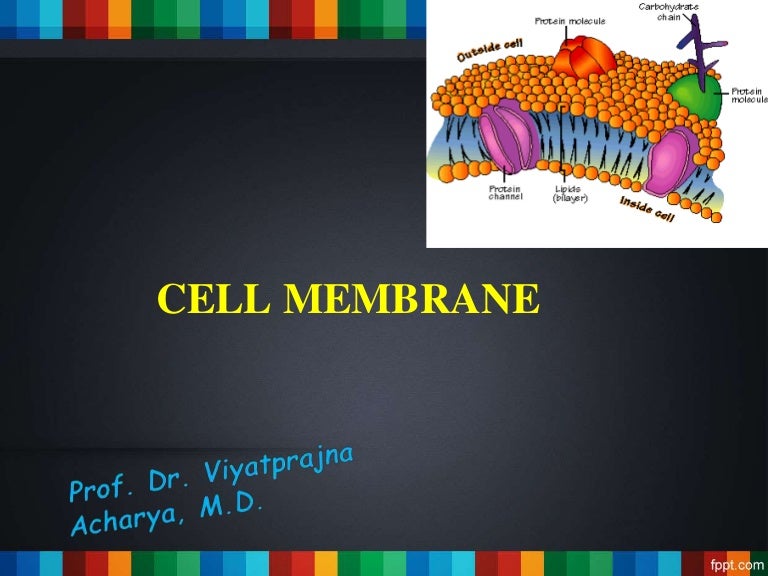 Cell Membrane And Transport Mechanisms