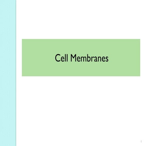 Cell membrane bch405 mic_3
