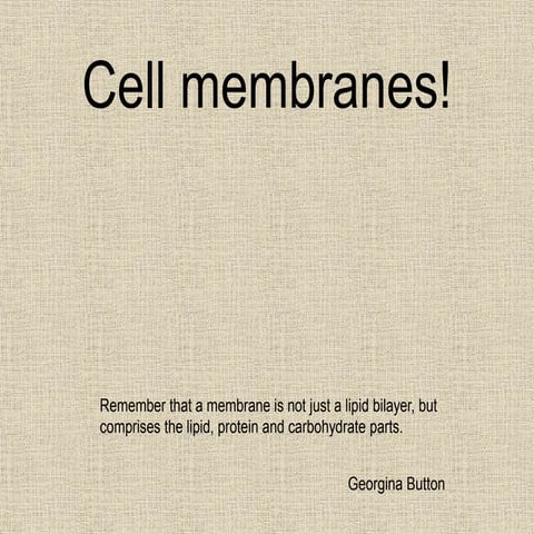 Cell Membranes!