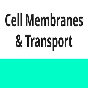 Cell Membranes AP BIOLOGY CHAP 2 Darlington Highschool