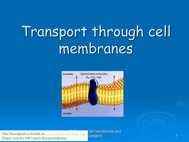 Cell_Membrane_Transport.ppt