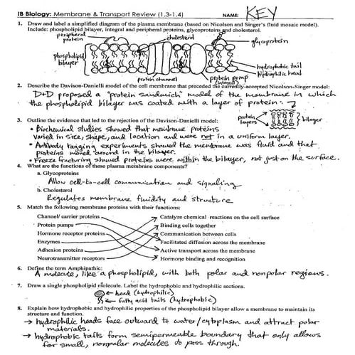 IB Cell Membrane & Transport Review Key (1.3-1.4)
