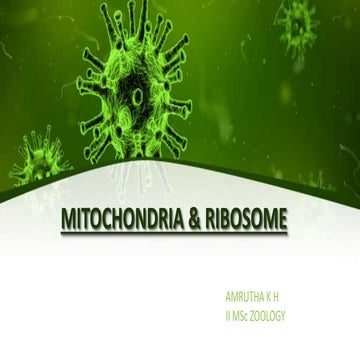 MITOCHONDRIA AND RIBOSOME