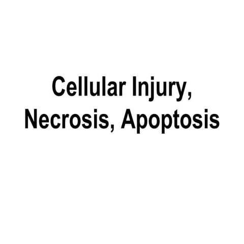cell necrosis , apoptosis presentation.pdf