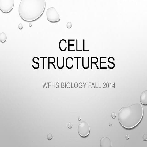 Cell analogy project | PPT