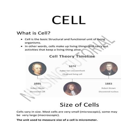 CELL NOTES BY NURSING TUTORIAL.docx
