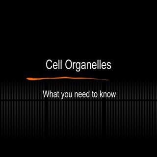 Cell organelles