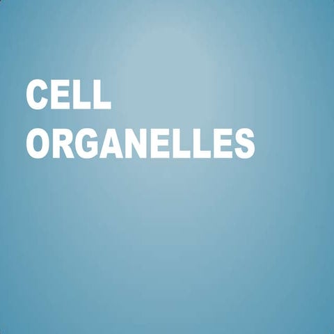 Cell organelles