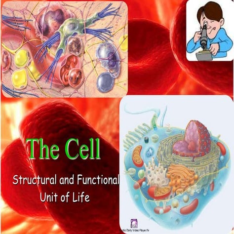 Cell and cell organelles