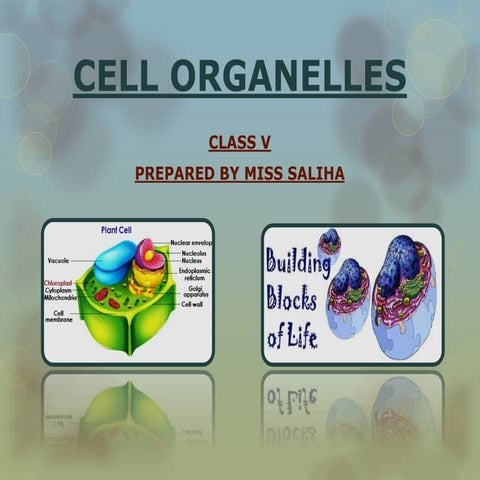 Cell organelles,prepared by Saliha Rais, for grade 5