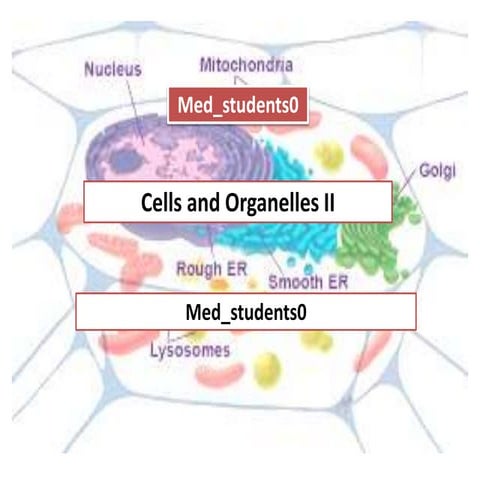 introduction to human physiology | PPTX