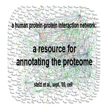 Cell Paper Stelzl Et Al 2005 | PDF