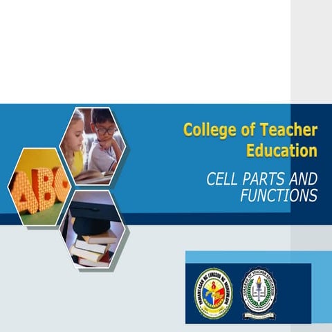 Cell parts and functions transport across membranes