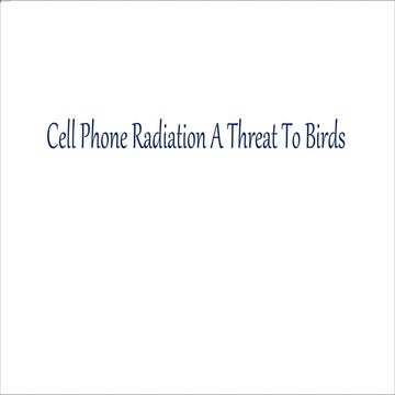 Cell Phone Radiation A Threat To Birds.pptx