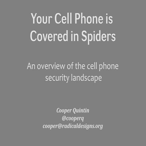 Cell phone security lite
