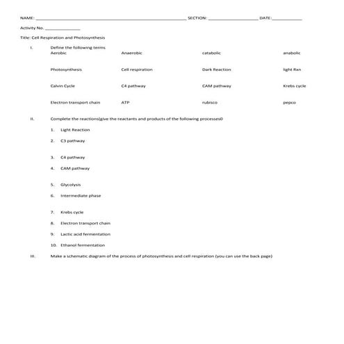 Cell respi and photosynthesis activity