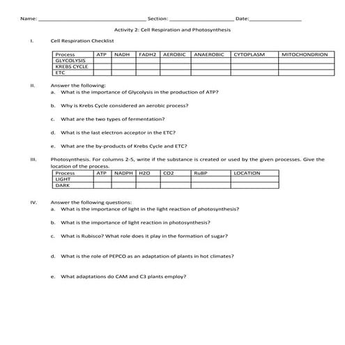 Cell respi photosynthesis activity