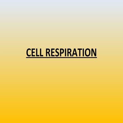 Cell respiration and photosynthesis IB Biology | PPT