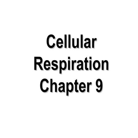 cell_respiration_ppt Grade 11 chemistry.ppt