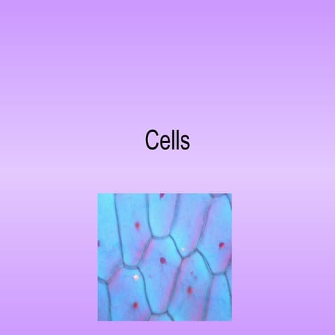 Cells