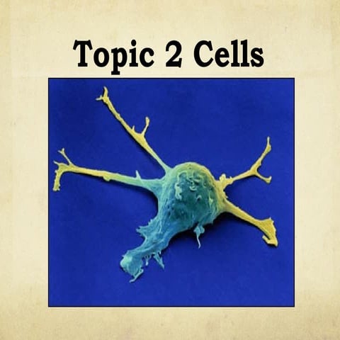 Cells PPt