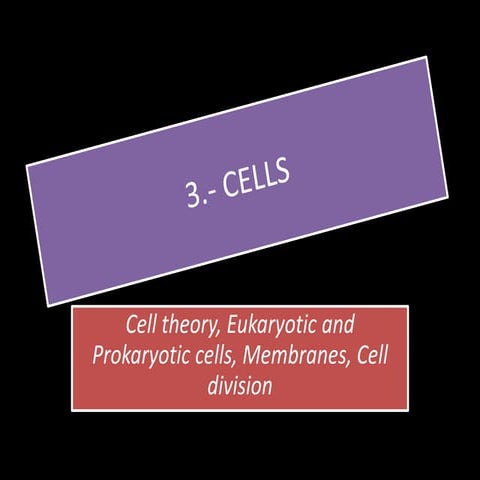 2. Cells