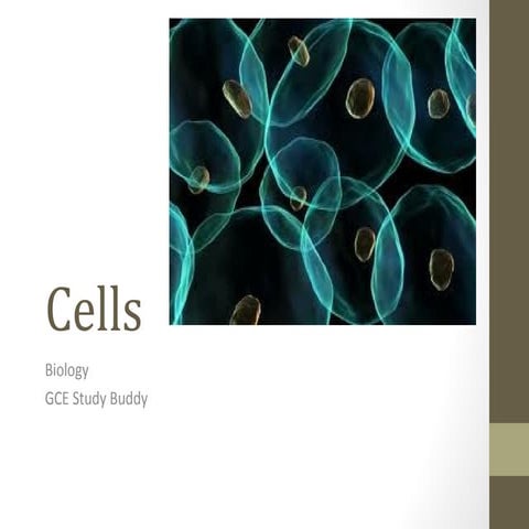 Cells ( Olevel Biology)