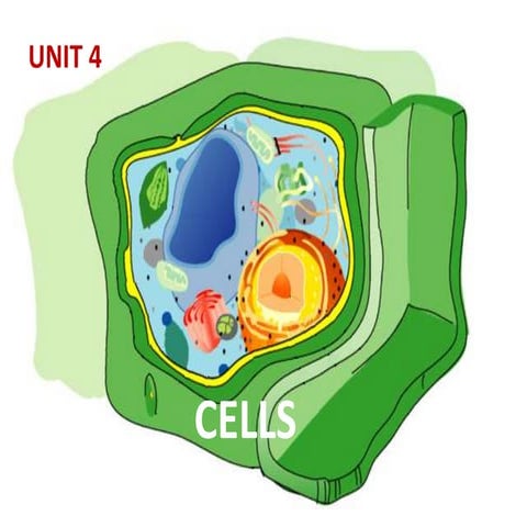 Cells