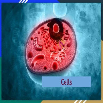 Cells.pdfnjxs jkxbkjsbcilasbcliasbcilsanilcnasilcblias