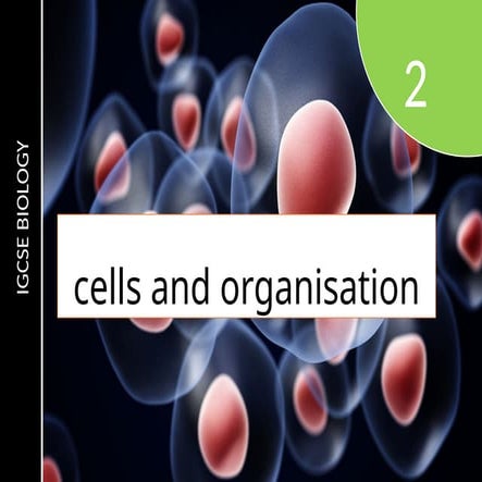Cells-and-Organisation-Y10-IGCSE-CIE.pptx