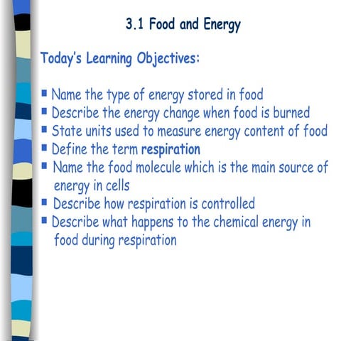 Cells And Respiration