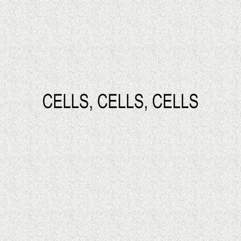 Cells, Cells, Cells 2008