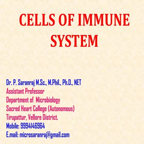 Cells of immune system