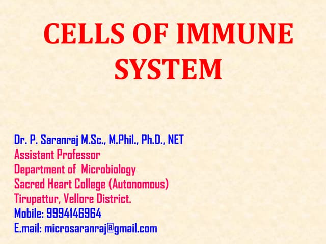 Cells of immune system