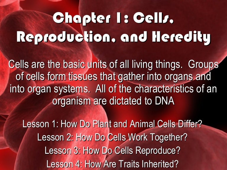 Cells Reproduction Heredity Chapter1 Humanbodyanatomyedu Com