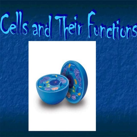 Cells and their_functions1