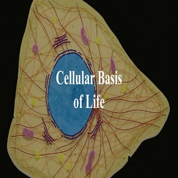 Cells and Tissues in Anaphy and Physiology | PDF