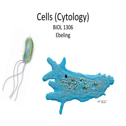 Cells (cytology) pt 1