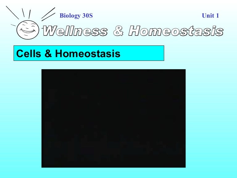 Cells & Homeostasis