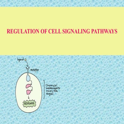 Cell signalling