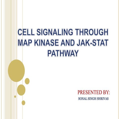 Cell signalling through MAP-Kinase and JAK STAT pathway.pptx