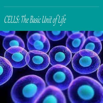 Cell_Organelles_Presentation.powerpointpresentation | PPTX