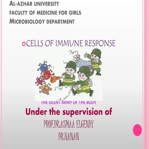 Cells of immune response